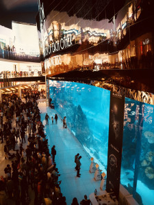 The Dubai shopping mall